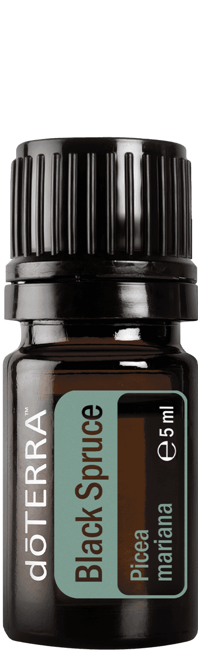 doTERRA Black Spruce (feketelucfenyő) illóolaj, 5 ml