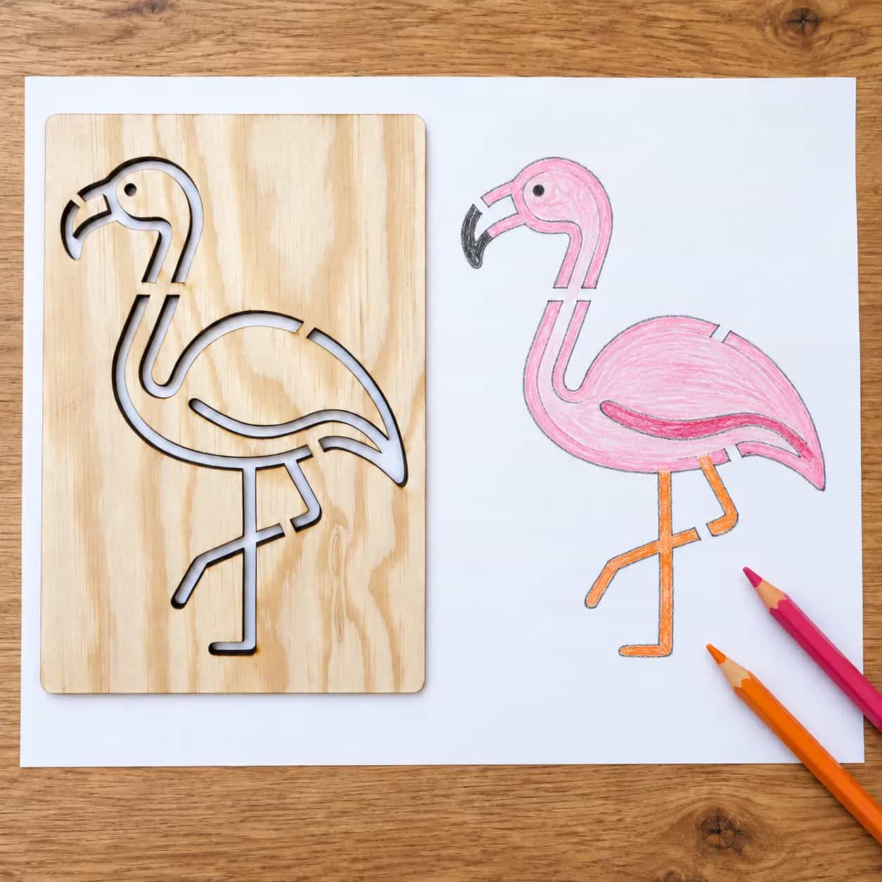 Rajzsablon – Madarak – Flamingó