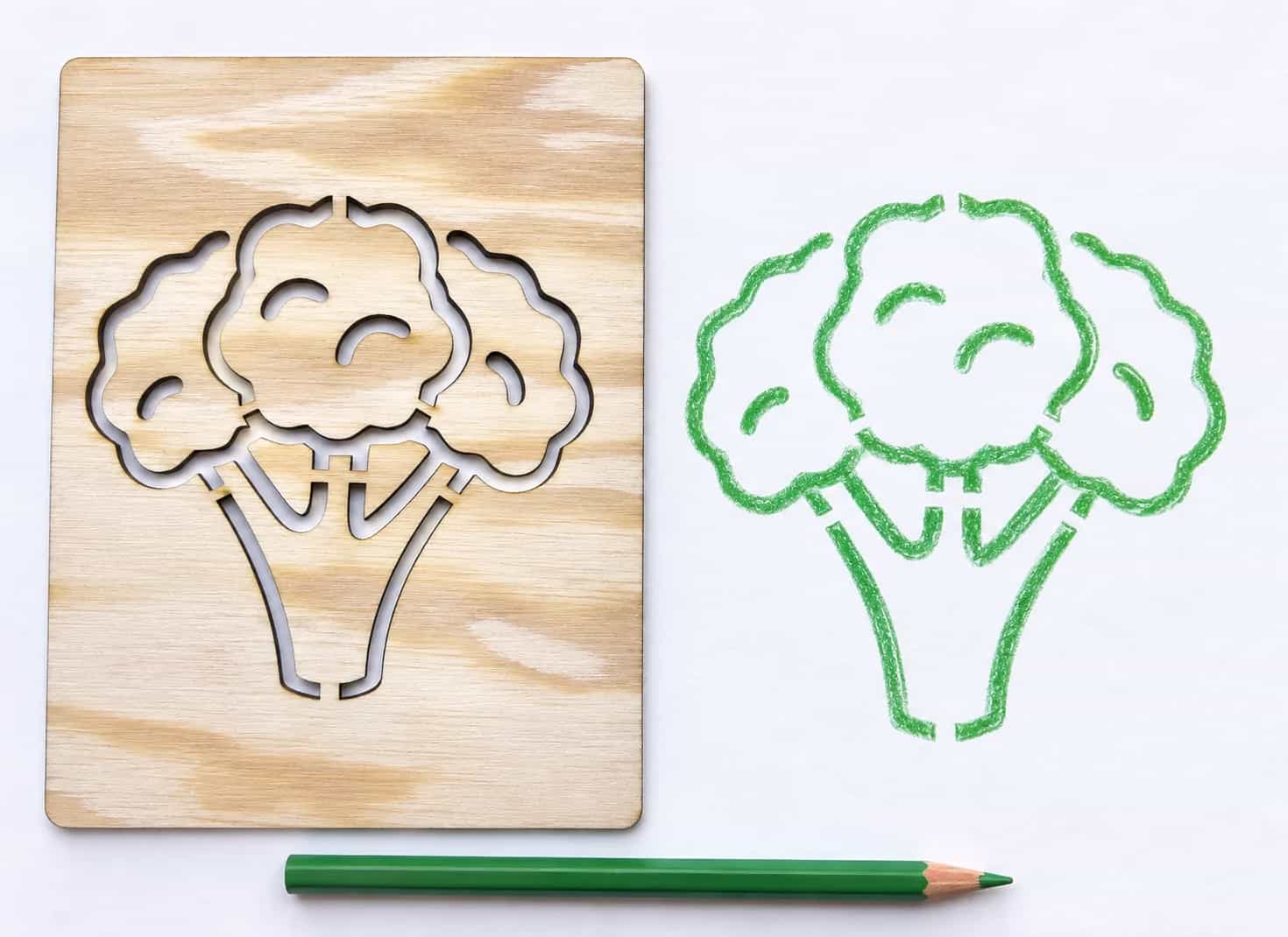 Rajzsablon – Zöldség és gyümölcs: Brokkoli