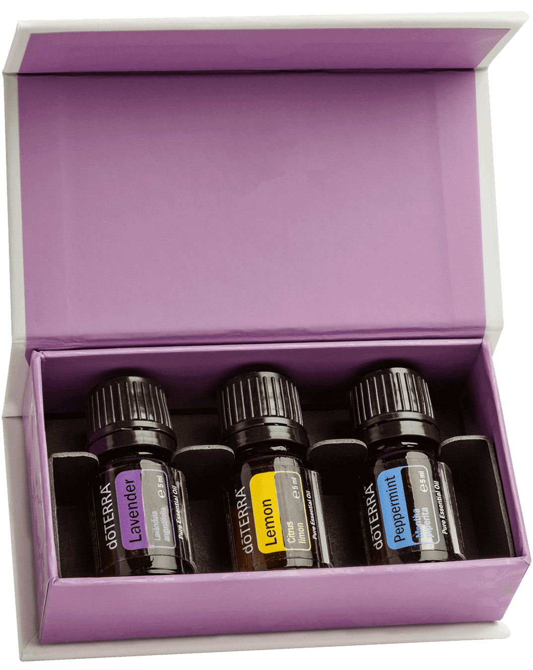 doTERRA Introductory Kit — levendula, citrom, borsmenta, 3 × 5 ml