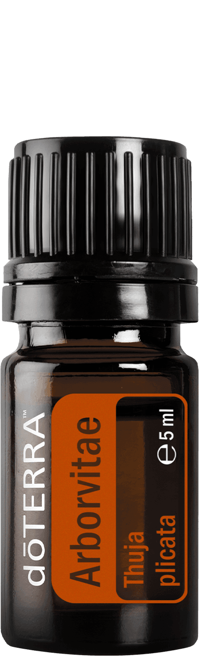 doTERRA Arborvitae (óriás tuja) illóolaj 5 ml