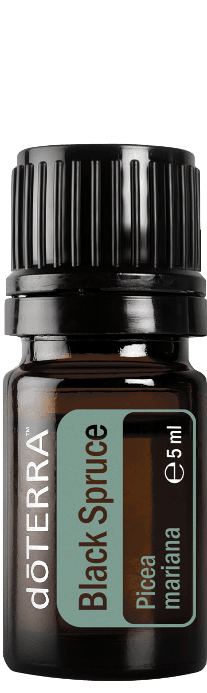doTERRA Black Spruce (feketelucfenyő) illóolaj, 5 ml