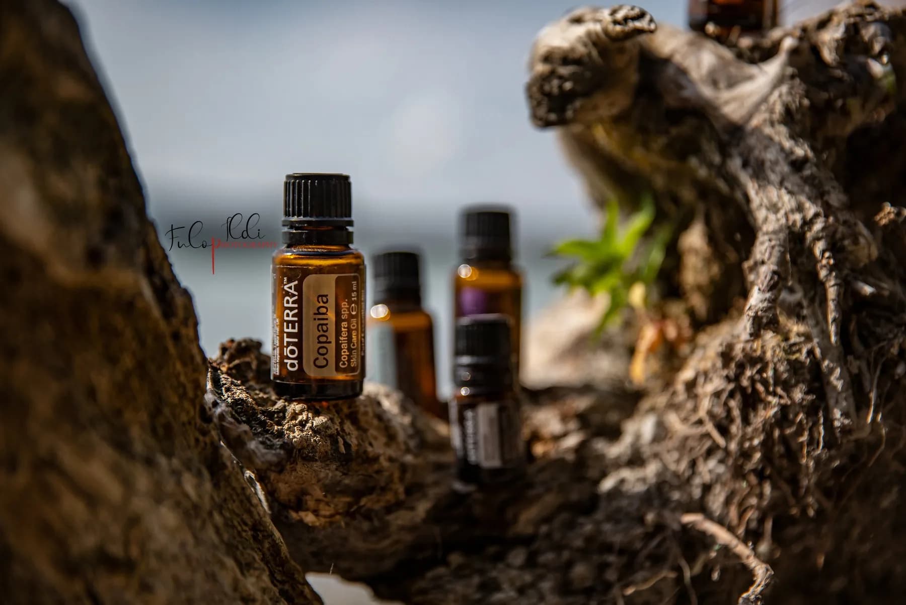 doTERRA Copaiba illóolaj, 15 ml
