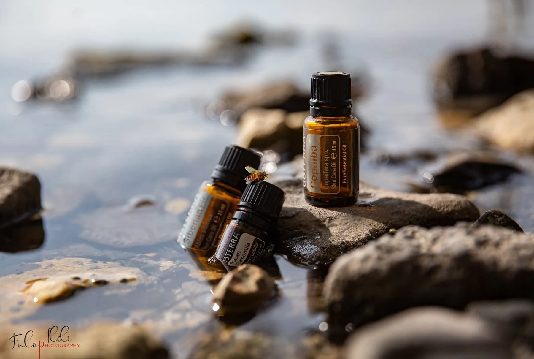 dōTERRA Római kamilla illóolaj (Anthemis nobilis) 5 ml