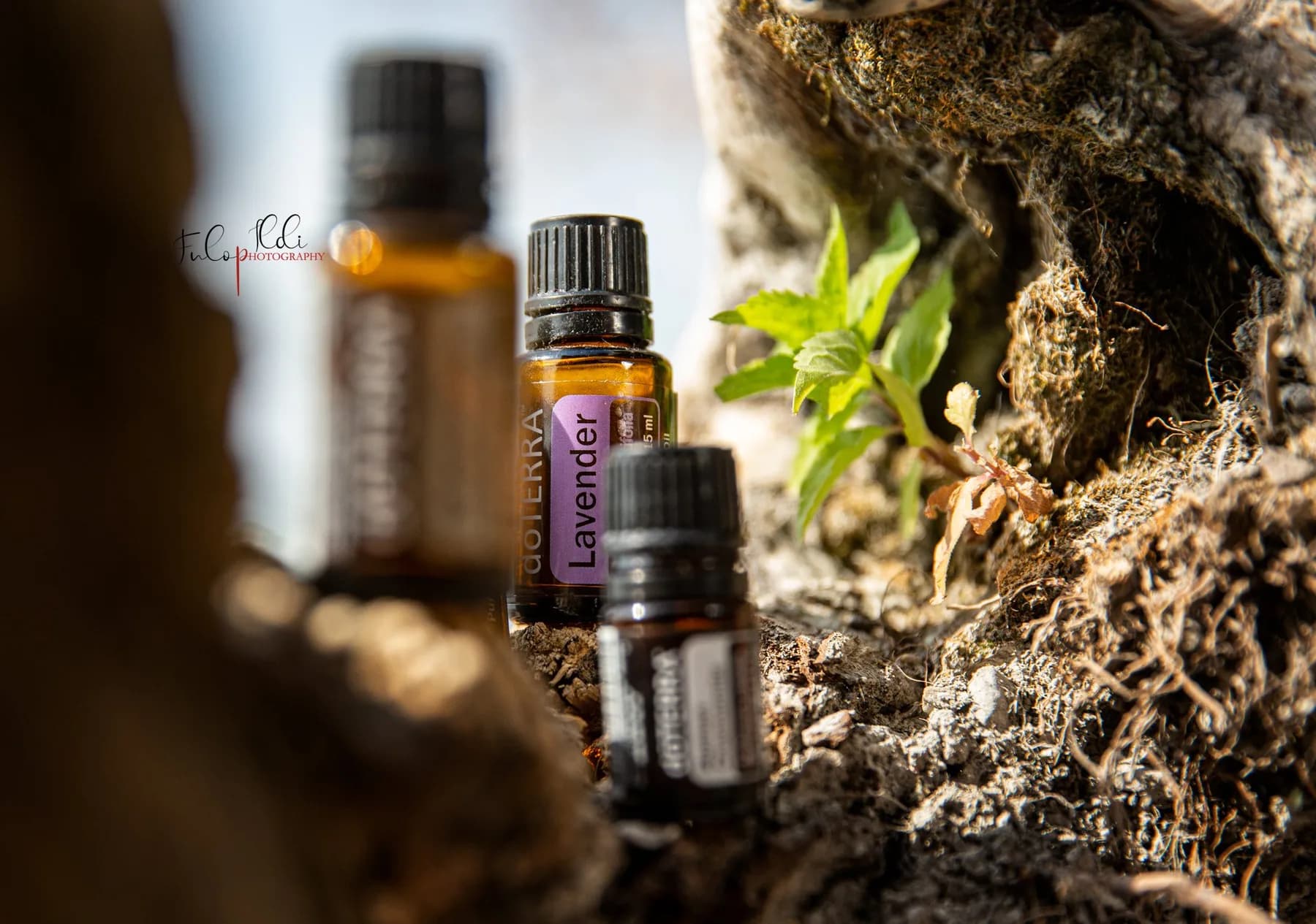 doTERRA Levendula illóolaj (15 ml)